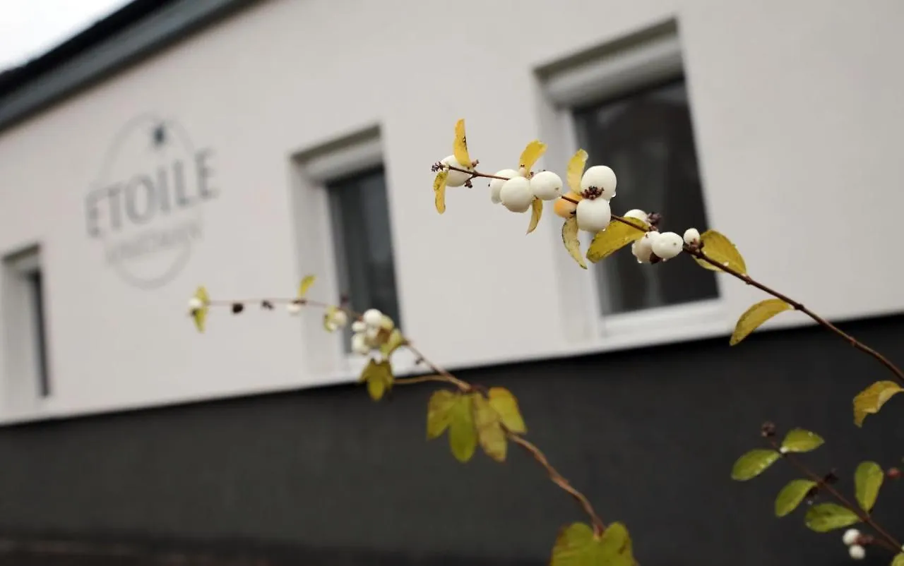 Etoile Apartman 에게르